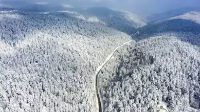 Abant Gölü Kış Masalına Dönüştü!