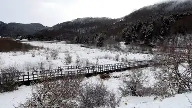 Abant Gölü'nde Kar Keyfi! Tatilciler Beyaz Örtünün Tadını Çıkarıyor