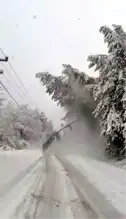 Kar Yağışı Abant Yolunu Kapattı!