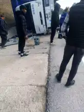 Bolu'da Tavuk Kamyonu Kazası: Sürücü Yaralı, Yüzlerce Tavuk Telef