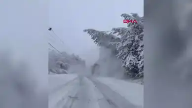 Kar Yağışı Yolu Kapattı: Ağacın Devrilmesi Trafiği Engelledi