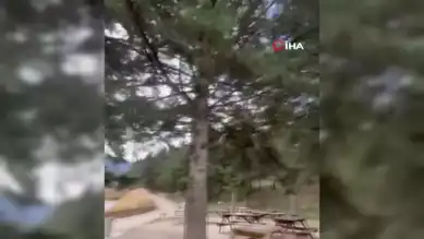 Kuvvetli Rüzgar, Bolu'da Hasara Yol Açtı