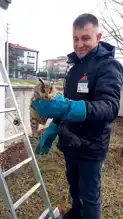 Bolu'da Mahsur Kalan Baykuş Kurtarıldı