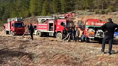 Bolu Mengen'de Orman Yangını Sönmüştür