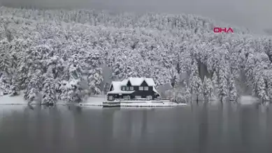 Bolu'nun Çam Ormanları Kar Altında