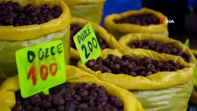 Bolu'da Kestane Fiyatları Tavan Yaptı!