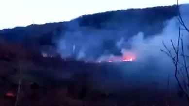 Köyde Örtü Yangını Paniği