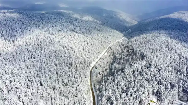 Abant Gölü Kış Masalına Dönüştü!