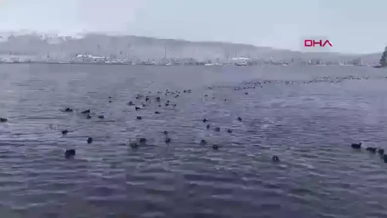 Karlı Abant Gölü'nün Büyülü Manzarası