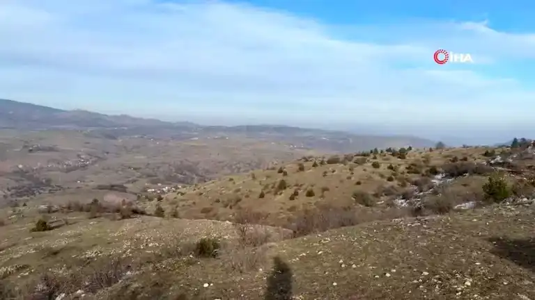 Bolu'da Kayıp Yaşlı Adam Ölü Bulundu
