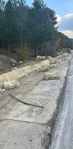 Bolu'da Kamyon Kazası: Sürücü Yaralı