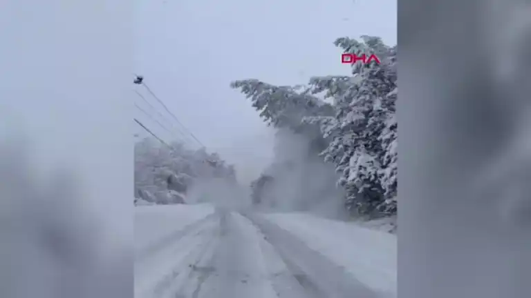 Kar Yağışı Yolu Kapattı: Ağacın Devrilmesi Trafiği Engelledi