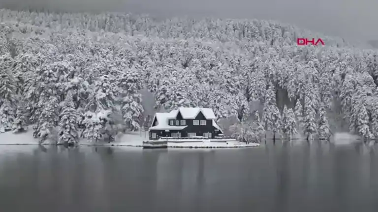 Bolu'nun Çam Ormanları Kar Altında